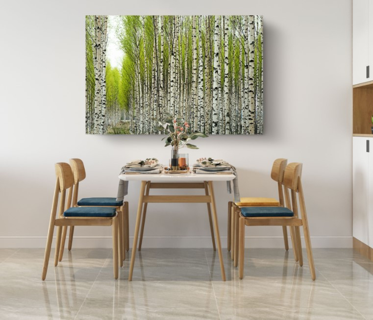Birch Trees in Spring Canvas Wall Art Home Decoration
