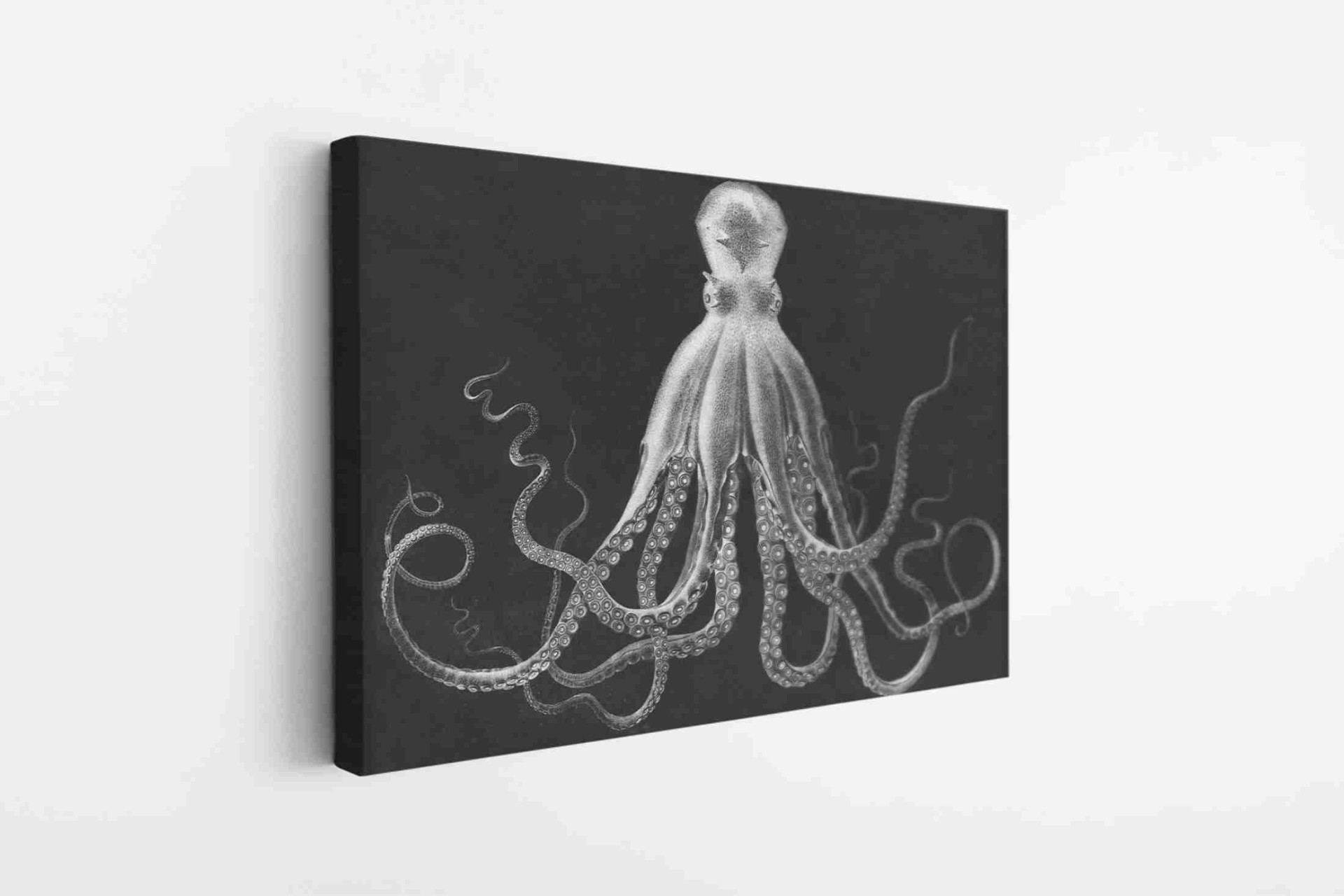 Octopus Animal Art Ocean Sea Canvas Print Wall Art