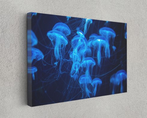 Blue Jellyfish Canvas Print Jellyfish Swarm Canvas Wall Art Home Decoration
