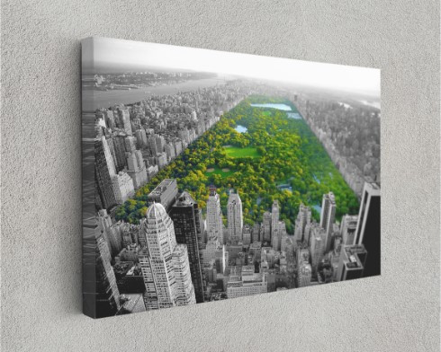 Central Park New York City Canvas Print Wall Art Home Decoration
