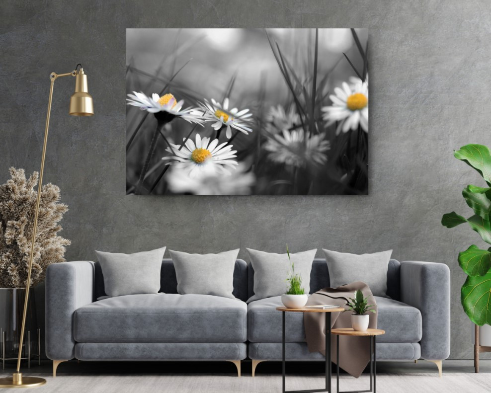 Chamomile Flower Daisy Nature Canvas Print Wall Art Home Decoration