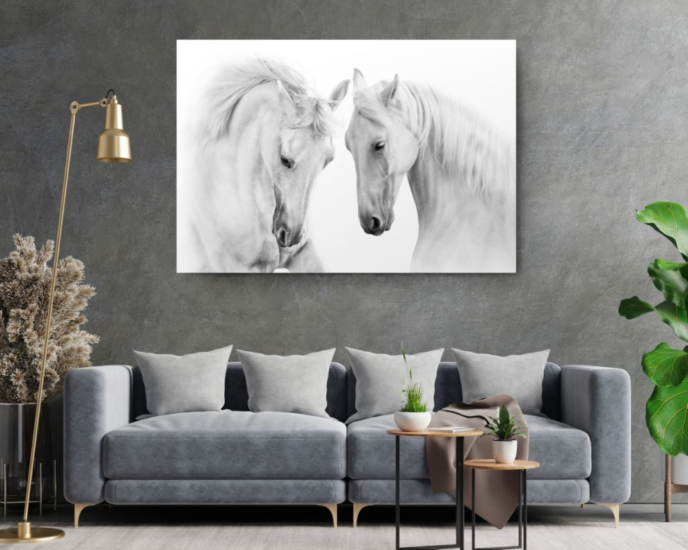 Couple White Horse On White Animal Canvas Print Wall Art Home Decoration