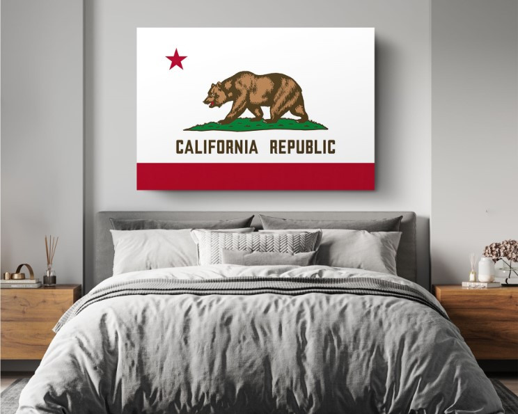 California State Flag USA Flags Edition Canvas Wall Art Home Decoration