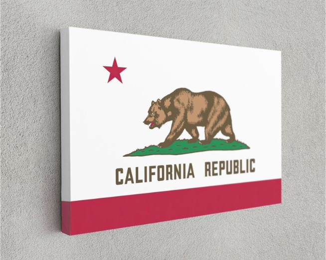 California State Flag USA Flags Edition Canvas Wall Art Home Decoration