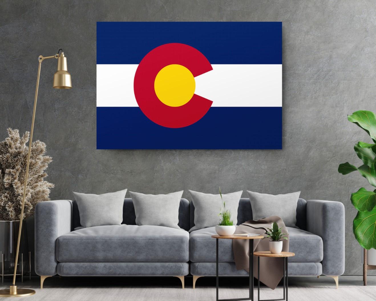 Colorado State Flag USA Flags Edition Canvas Wall Art Home Decoration