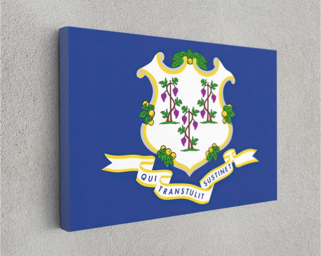 Connecticut State Flag USA Flags Edition Canvas Wall Art Home Decoration