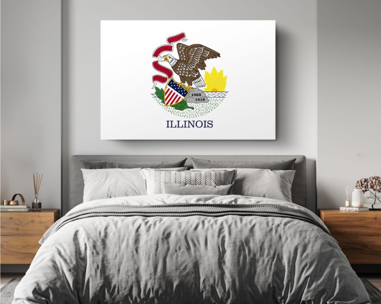 Illinois State Flag USA Flags Edition Canvas Wall Art Home Decoration