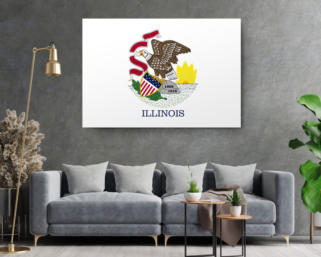 Illinois State Flag USA Flags Edition Canvas Wall Art Home Decoration