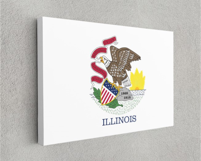 Illinois State Flag USA Flags Edition Canvas Wall Art Home Decoration