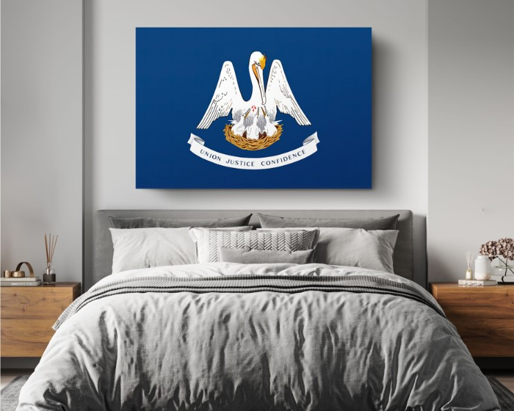 Louisiana State Flag USA Flags Edition Canvas Wall Art Home Decoration