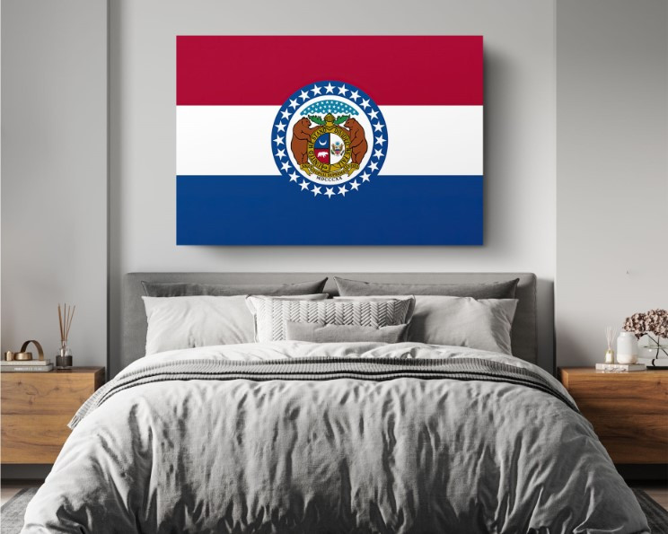 Nevada State Flag USA Flags Edition Canvas Wall Art Home Decoration