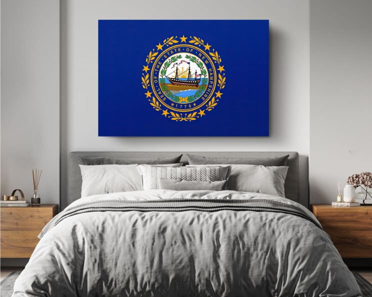New Hampshire State Flag USA Flags Edition Canvas Wall Art Home Decoration