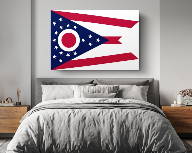 Ohio State Flag USA Flags Edition Canvas Wall Art Home Decoration