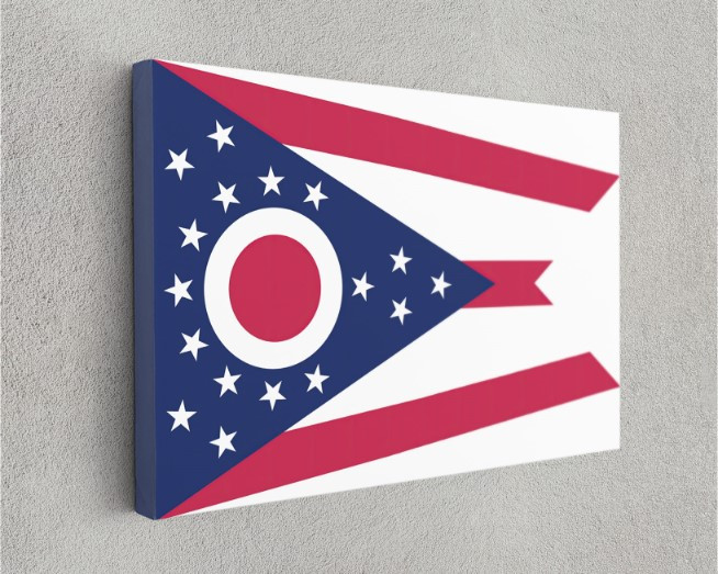 Ohio State Flag USA Flags Edition Canvas Wall Art Home Decoration
