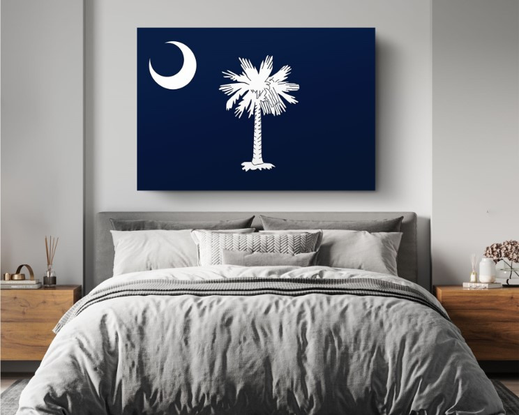 South Carolina State Flag USA Flags Edition Canvas Wall Art Home Decoration