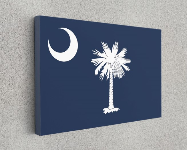 South Carolina State Flag USA Flags Edition Canvas Wall Art Home Decoration