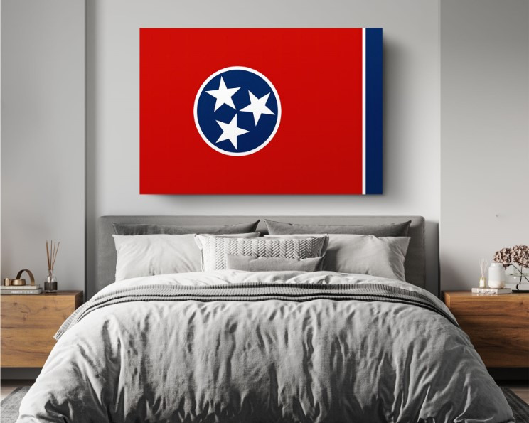 Tennessee State Flag USA Flags Edition Canvas Wall Art Home Decoration