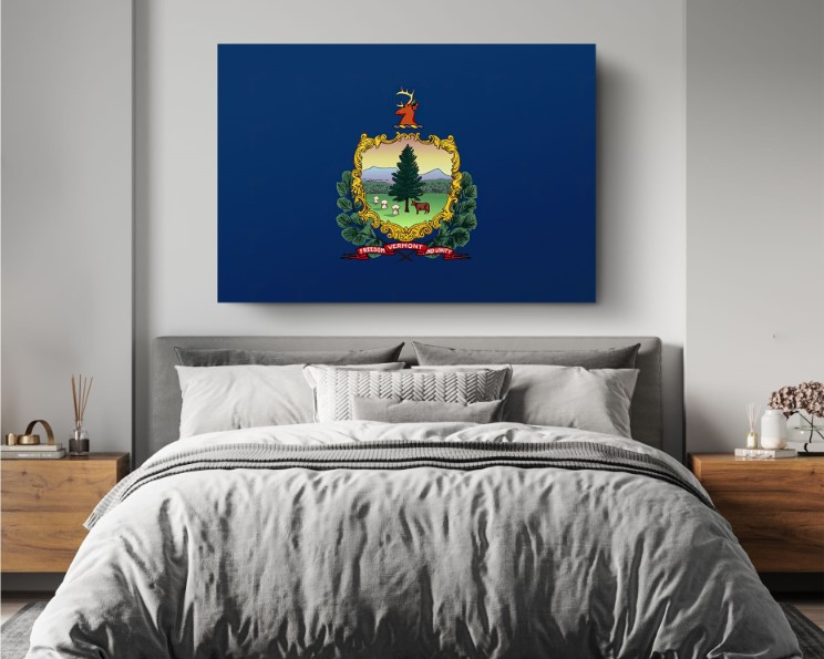 Vermont State Flag USA Flags Edition Canvas Wall Art Home Decoration