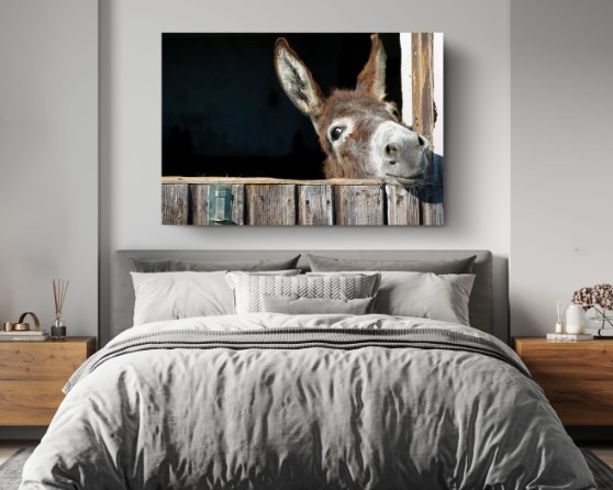 Funny Donkey Motivation Animal Canvas Print Wall Art