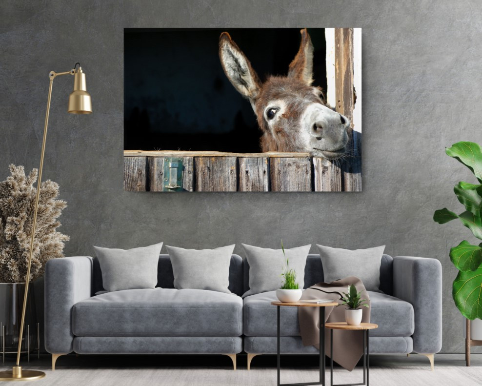Funny Donkey Motivation Animal Canvas Print Wall Art