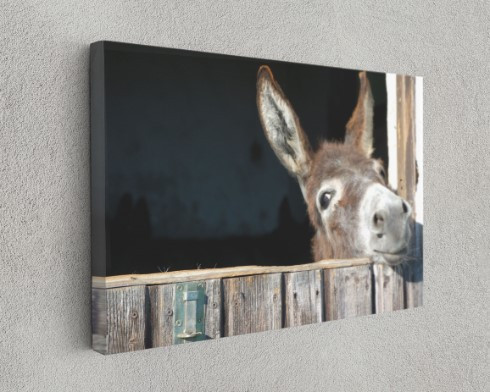Funny Donkey Motivation Animal Canvas Print Wall Art