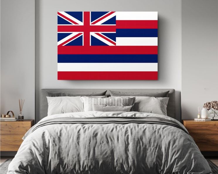 Hawaii State Flag USA Flags Edition Canvas Wall Art Home Decoration