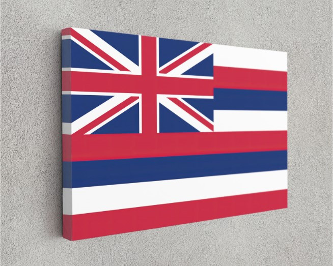 Hawaii State Flag USA Flags Edition Canvas Wall Art Home Decoration