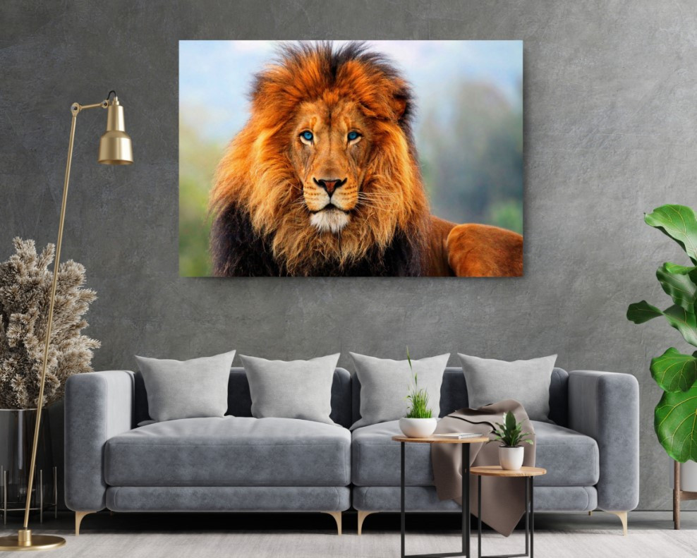 African Lion Wild Life Motivational Animal Arts Canvas Print Wall Art