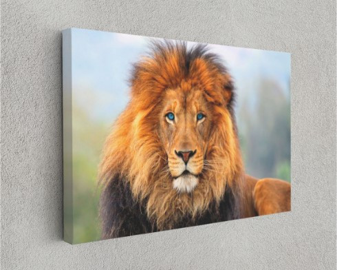 African Lion Wild Life Motivational Animal Arts Canvas Print Wall Art