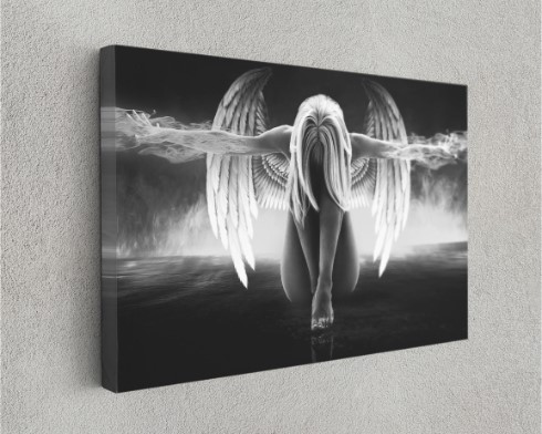 Lonely Angel Wings Motivational Arts Canvas Print Wall Art