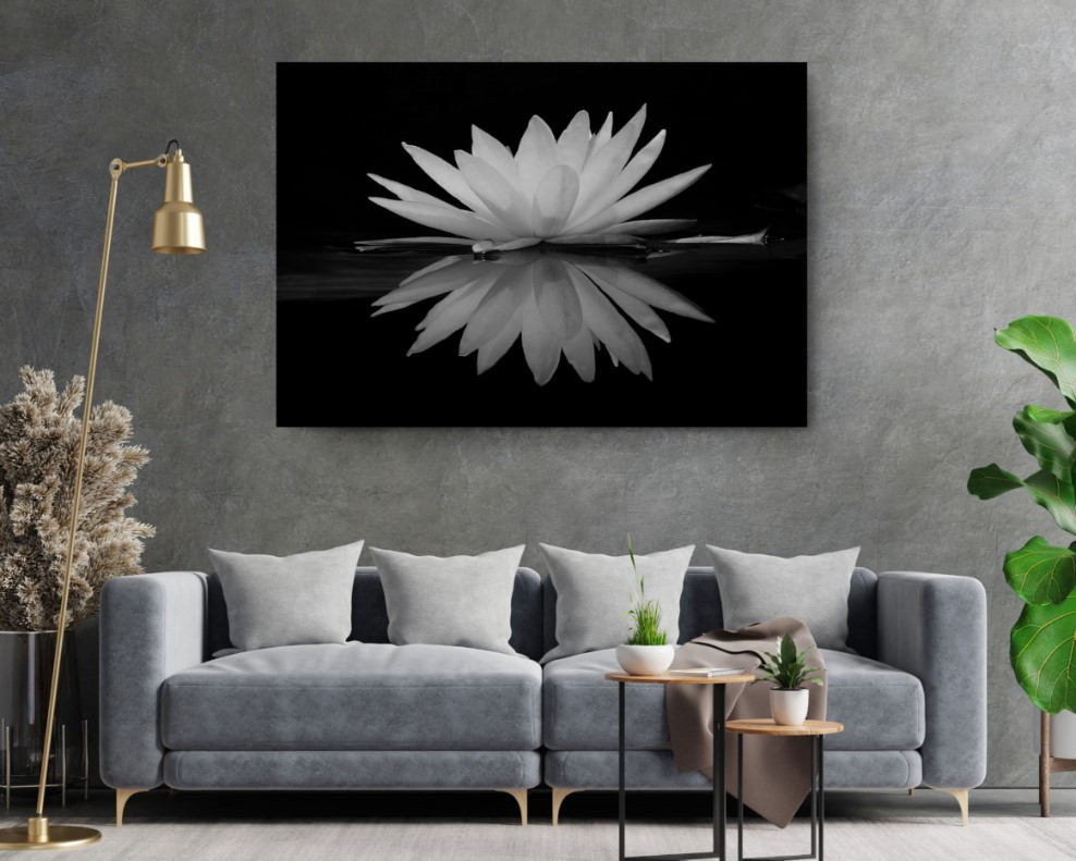 Lotus Flower in Water Plant Floral Motivation Canvas Print Wall Art
