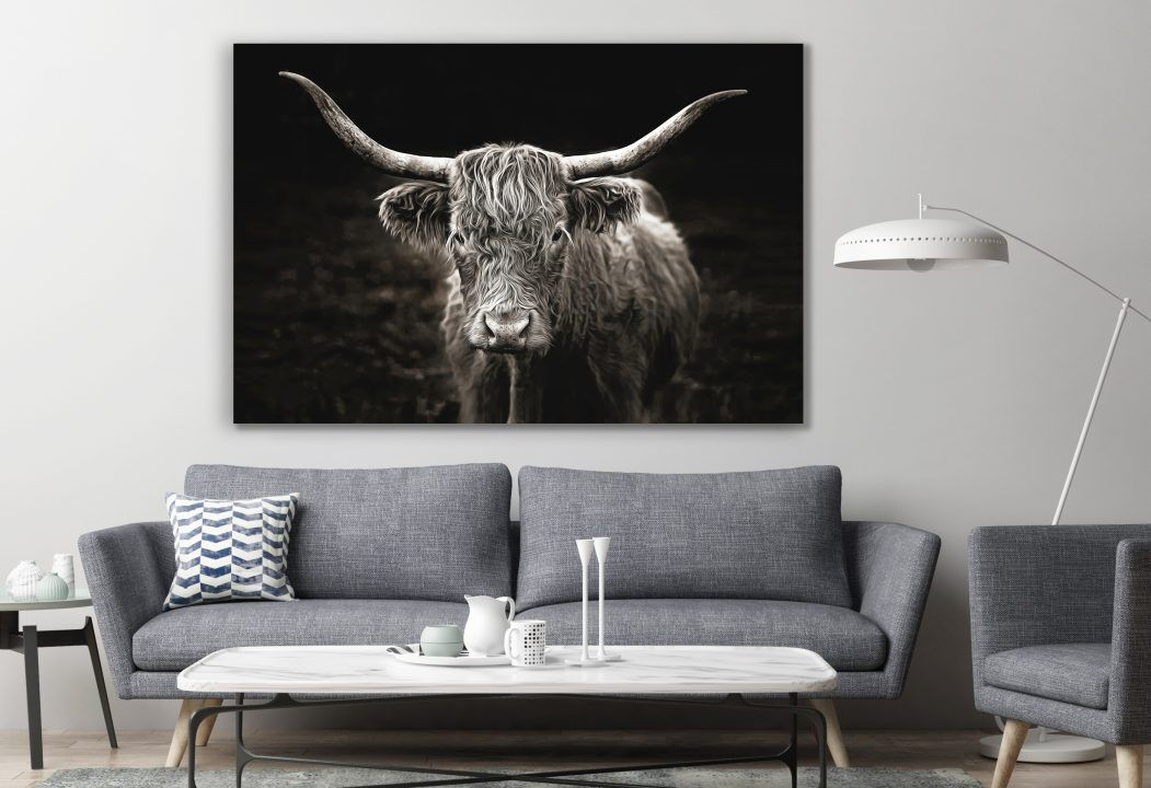 Long Haired Cow Black Animal Canvas Print Wall Art