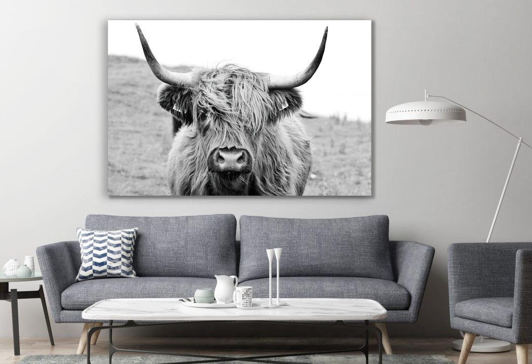 Long Haired Cow Rustic Animal Canvas Print Wall Art