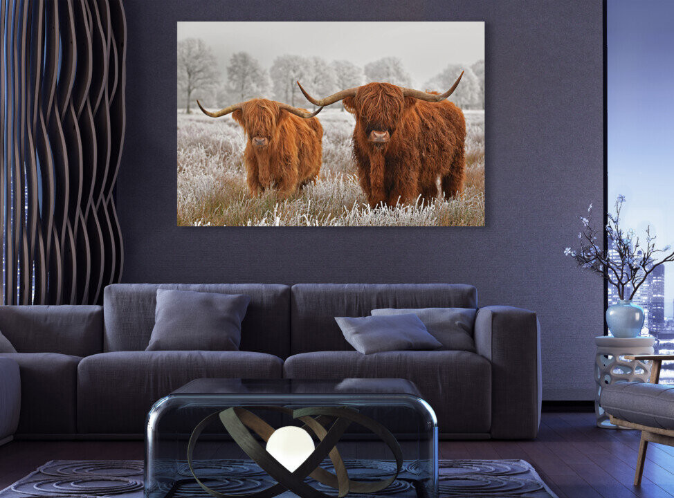 Highland Cow Rustic Animal Canvas Print Wall Art