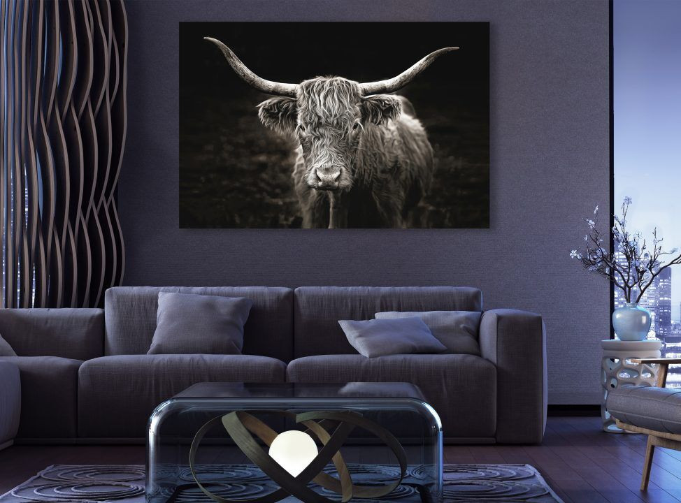 Long Haired Cow Black Animal Canvas Print Wall Art
