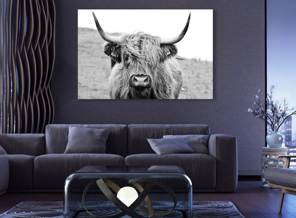 Long Haired Cow Rustic Animal Canvas Print Wall Art
