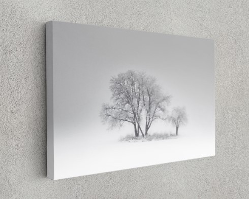 Snowy Tree Natural Art Canvas Print Wall Art Home Decoration