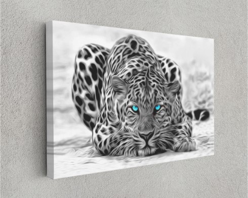 Super Leopard Black And White Wild Animal Art Canvas Print Wall Art