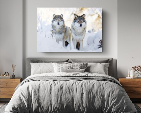 Two Wolves In Cold Winter Animal Canvas Print Wall Art