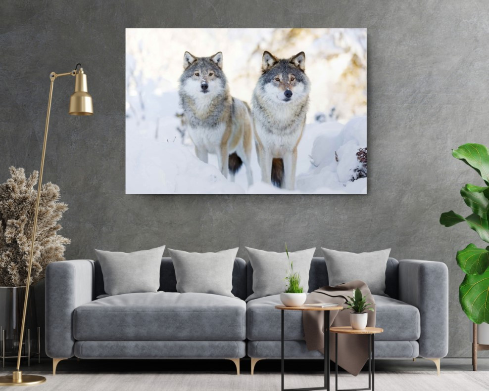 Two Wolves In Cold Winter Animal Canvas Print Wall Art