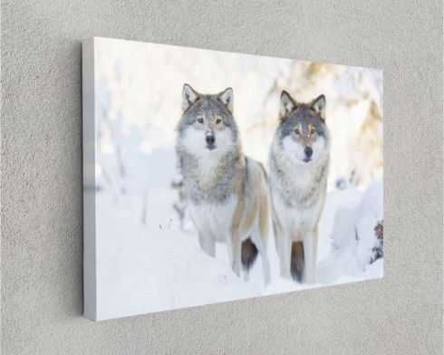 Two Wolves In Cold Winter Animal Canvas Print Wall Art