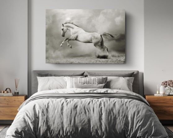 White Rearing Horse Animal Canvas Print Wall Art Home Decoration