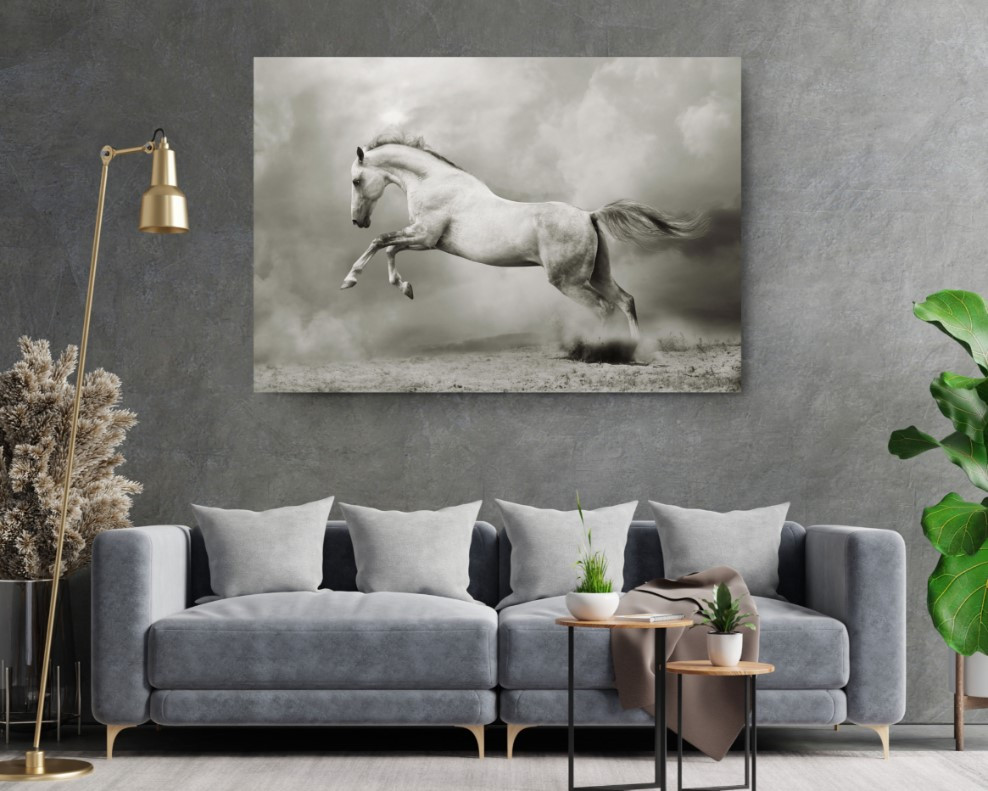 White Rearing Horse Animal Canvas Print Wall Art Home Decoration