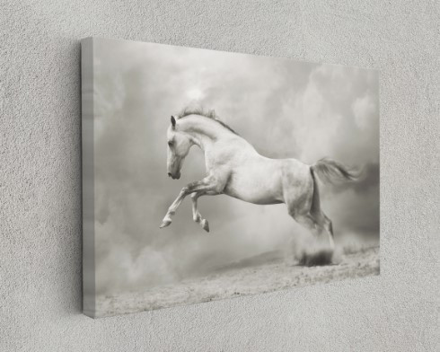 White Rearing Horse Animal Canvas Print Wall Art Home Decoration
