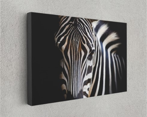 Zebra Canvas Print Zebra Animal Canvas Print Wall Art Home Decoration