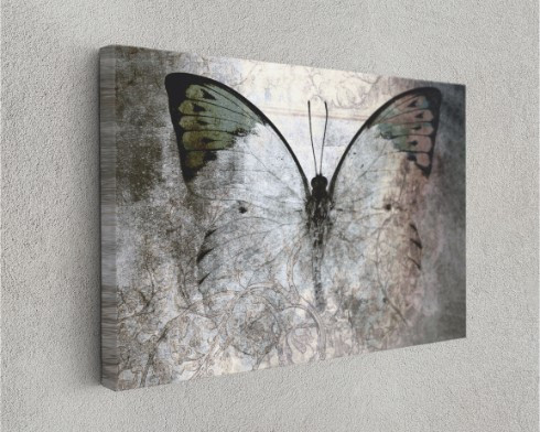 Butterfly Effect Wild Life Animals Canvas Print Wall Art Home Decoration