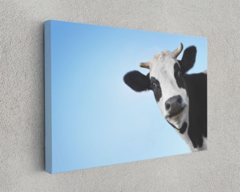Funny Cow Blue Sky Motivation Animal Canvas Print Wall Art