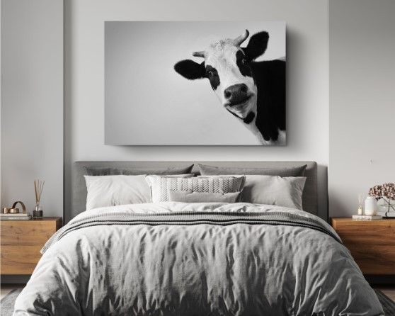 Funny Cow Black and White Motivation Animal Canvas Print Wall Art