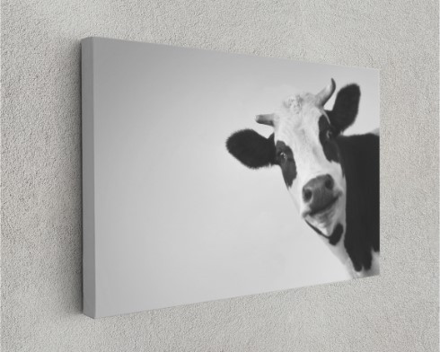 Funny Cow Black and White Motivation Animal Canvas Print Wall Art