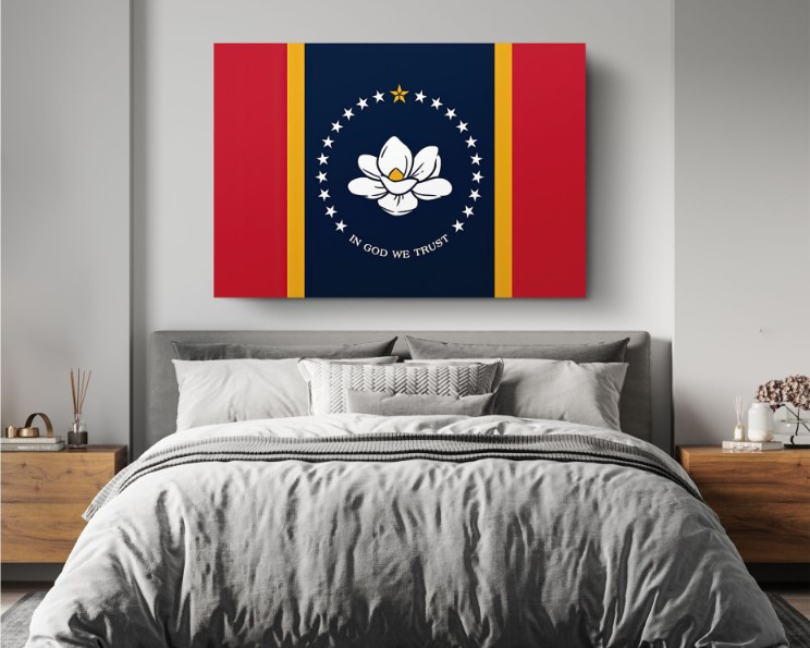 Mississippi State Flag USA Flags Edition Canvas Wall Art Home Decoration